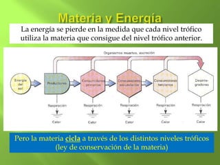 La energía se pierde en la medida que cada nivel trófico
 utiliza la materia que consigue del nivel trófico anterior.




Pero la materia cicla a través de los distintos niveles tróficos
            (ley de conservación de la materia)
 