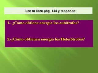 1.- ¿Cómo obtiene energía los autótrofos?



2.-¿Cómo obtienen energía los Heterótrofos?
 