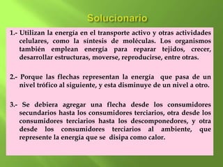 1.- Utilizan la energía en el transporte activo y otras actividades
    celulares, como la síntesis de moléculas. Los organismos
    también emplean energía para reparar tejidos, crecer,
    desarrollar estructuras, moverse, reproducirse, entre otras.

2.- Porque las flechas representan la energía que pasa de un
    nivel trófico al siguiente, y esta disminuye de un nivel a otro.

3.- Se debiera agregar una flecha desde los consumidores
   secundarios hasta los consumidores terciarios, otra desde los
   consumidores terciarios hasta los descomponedores, y otra
   desde los consumidores terciarios al ambiente, que
   represente la energía que se disipa como calor.
 