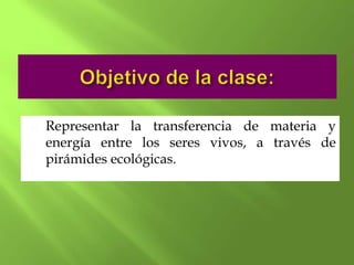    Representar la transferencia de materia y
    energía entre los seres vivos, a través de
    pirámides ecológicas.
 