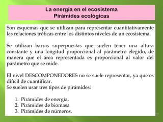 Son esquemas que se utilizan para representar cuantitativamente
las relaciones tróficas entre los distintos niveles de un ecosistema.

Se utilizan barras superpuestas que suelen tener una altura
constante y una longitud proporcional al parámetro elegido, de
manera que el área representada es proporcional al valor del
parámetro que se mide.

El nivel DESCOMPONEDORES no se suele representar, ya que es
difícil de cuantificar.
Se suelen usar tres tipos de pirámides:

   1. Pirámides de energía,
   2. Pirámides de biomasa
   3. Pirámides de números.
 
