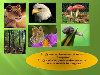 1. ¿Qué seres vivos reconoces en las
                  fotografías?
2. ¿Qué relación puede establecerse entre
       los seres vivos de las imágenes?
 