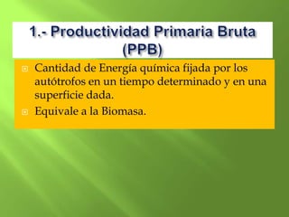    Cantidad de Energía química fijada por los
    autótrofos en un tiempo determinado y en una
    superficie dada.
   Equivale a la Biomasa.
 