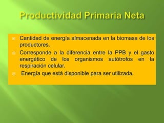    Cantidad de energía almacenada en la biomasa de los
    productores.
   Corresponde a la diferencia entre la PPB y el gasto
    energético de los organismos autótrofos en la
    respiración celular.
    Energía que está disponible para ser utilizada.
 
