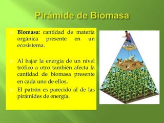    Biomasa: cantidad de materia
    orgánica presente en un
    ecosistema.

   Al bajar la energía de un nivel
    trófico a otro también afecta la
    cantidad de biomasa presente
    en cada uno de ellos.
   El patrón es parecido al de las
    pirámides de energía.
 