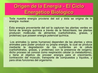    Toda nuestra energía proviene del sol y ésta se origina de la
    energía nuclear.

   Esta energía proveniente del sol la capturan las plantas verdes en
    forma de energía química a través de la fotosíntesis; las plantas
    producen moléculas de alimentos (carbohidratos, grasas, y
    proteínas) que poseen energía potencial química.

    Los animales (y seres humanos) dependen de las plantas y otros
    animales para poder producir su propia energía, la cual se produce
    mediante la degradación de los nutrientes en la célula
    (carbohidratos, grasas, y proteínas) con la presencia de oxígeno;
    dicho proceso se conoce como respiración celular (o metabolismo),
    y tiene el objetivo de proveer energía para el crecimiento,
    contracción del músculo, transporte de compuestos y líquidos, y
    para otras funciones del organismo.
 