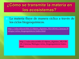     La materia fluye de manera cíclica a través de
     los ciclos biogeoquímicos.

    http://odas.educarchile.cl/objetos_digitales_NE/ODAS_Ciencias/B
    iologia/ciclos_biogeoquimicos/index.html




                http://odas.educarchile.cl/objetos_digitales_NE/OD
                AS_Ciencias/Biologia/ciclos_biogeoquimicos/index.
                html
 