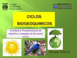 Unidad 4: Transferencia de
materia y energía en los seres
            vivos.




                                 Silvana Vidal D.
 