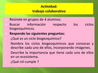     Reúnete en grupos de 4 alumnos.
    Buscar     información      respecto     los   ciclos
     biogeoquímicos.
    Responde las siguientes preguntas:
1.    ¿Qué es un ciclo biogeoquímico?
2.    Nombra los ciclos biogeoquimicos que conozcas y
      describe cada uno de ellos, incorporando imágenes.
3.    Describe la importancia que tiene cada uno de ellos
      en un ecosistema.
4.    ¿Qué rol cumple ?
 