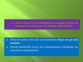    Entre los seres vivos de un ecosistema fluye en un solo
    sentido.
   Desde autótrofos hacia los consumidores mediante las
    relaciones alimentarias.
 