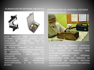 ELIMINACIÓN DE MATERIAL METÁLICO
ESTE PROCESO DEBE HACESE CON
EXTREMO CUIDADO AL EXTRAER CLIPS,
GANCHOS DE COSEDORA, PARA NO
OCASIONAR NINGUN DAÑO A LA
DOCUMENTACIÓN
SE PUEDE CAMBIAR EL MATERIAL
METALICO POR ELEMENTOS ELABORADOS
DE MATERIAL PLASTICO O CON
RECUBRIMIENTOS QUE EVITEN SU
OXIDACIÓN.
REEMPLAZAR LAS CARPETAS
TRADICIONALES POR MATERIALES
DESACIDIFICADOS O DE CARTULINA
BLANCA.
IDENTIFICACIÓN DEL MATERIAL AFECTADO
POR BIODETERIORO.
SI SE DETECTA MATERIAL AFECTADO
ESPECIALMENTE POR AGENTES BIOLÓGICOS
COMO HONGOS Y/O INSECTOS, DEBE
SEPARARSE DEL NO CONTAMINADO
SOLICITAR SERVICIO DE PERSONAL
ESPECIALIZADO PARA LOS PROCESOS DE
DESINFECCIÓN DEL MATERIAL AFECTADO
ANTES DE INCORPORAR DICHOS DOCUMENTOS
A SU SITIO DE DEPÓSITO.
 