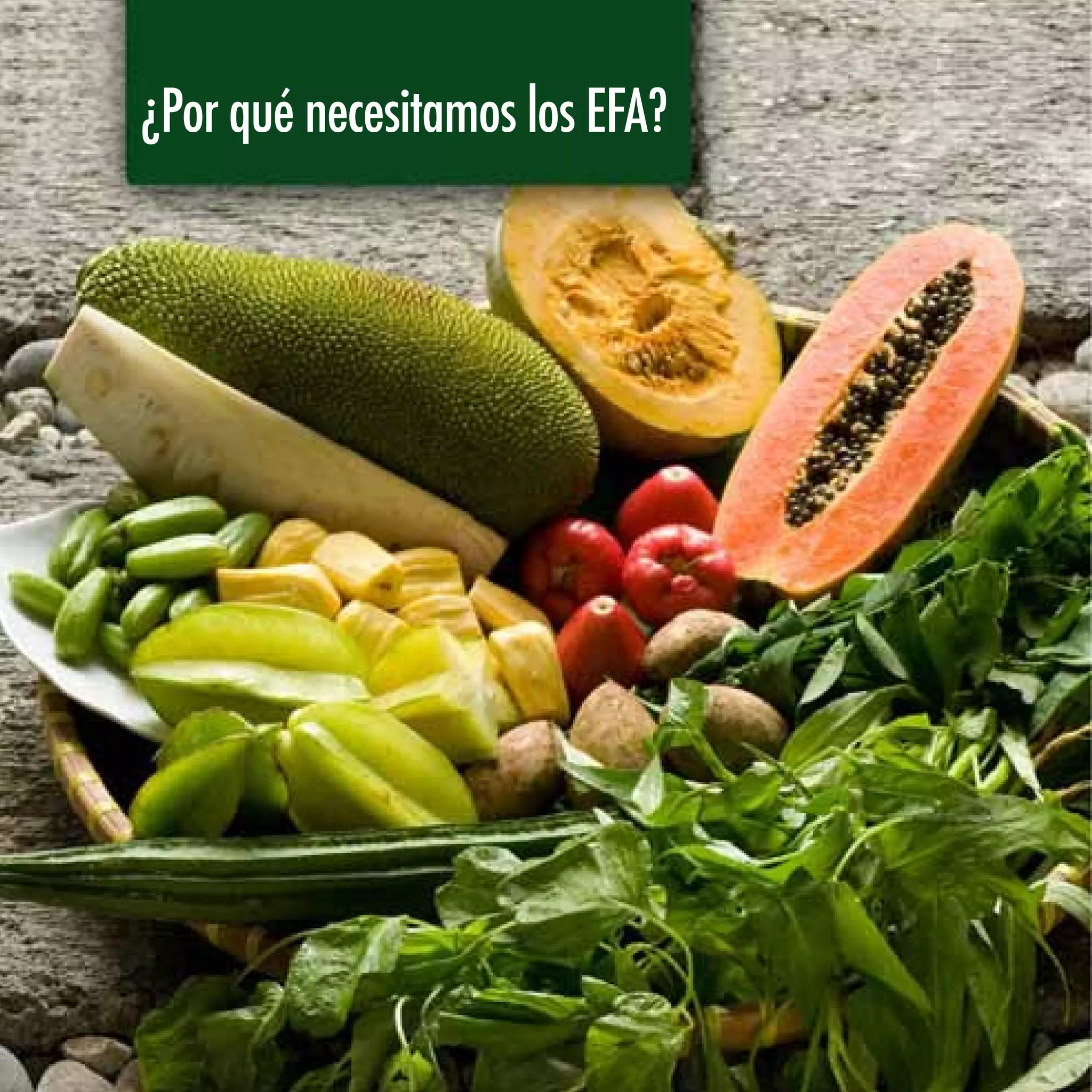 ¿Por qué necesitamos los EFA?
 