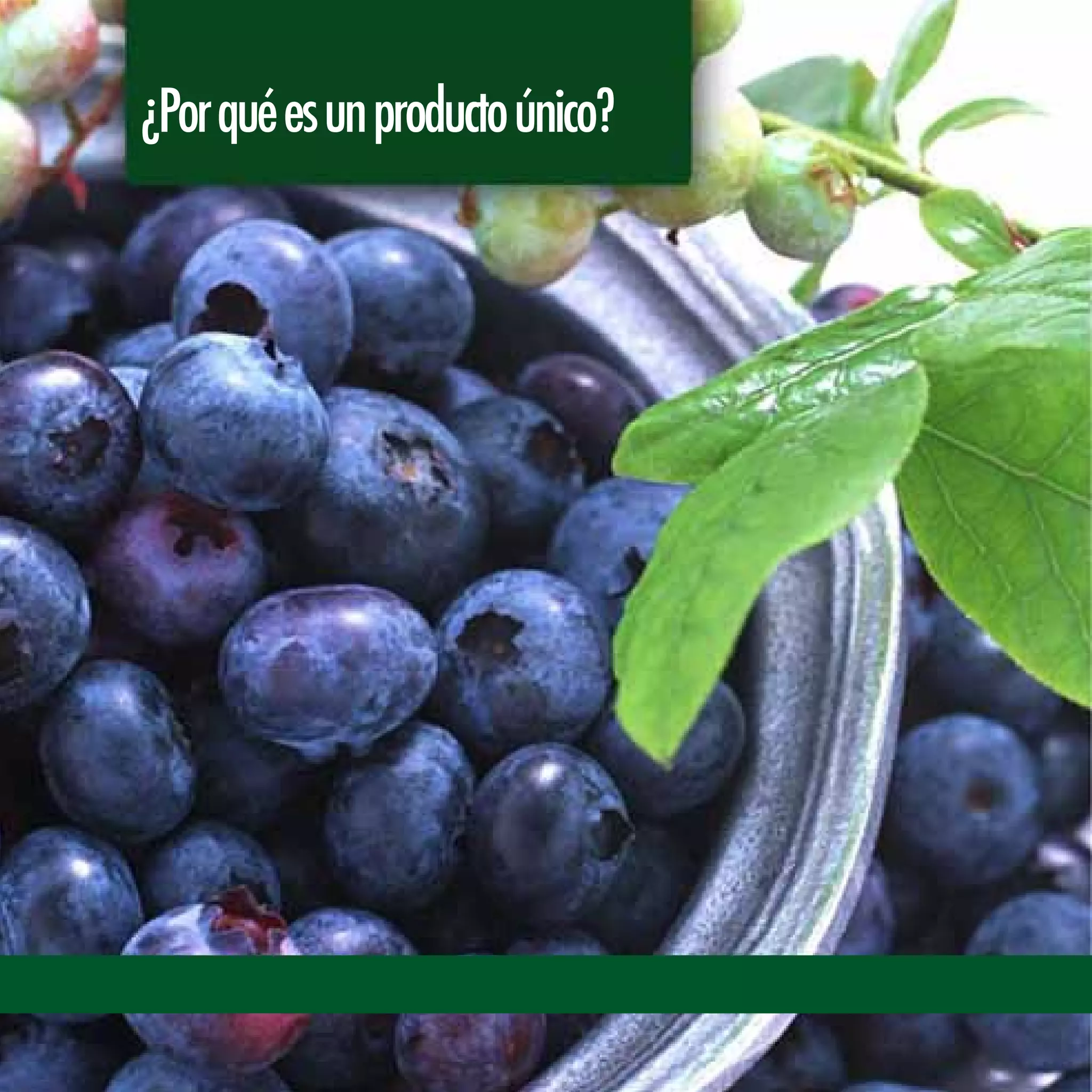 ¿Porquéesunproductoúnico?
 