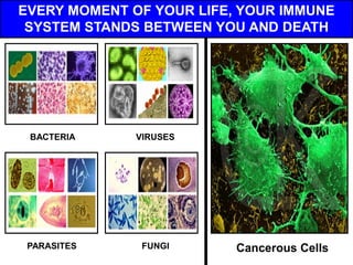 EVERY MOMENT OF YOUR LIFE, YOUR IMMUNE
 SYSTEM STANDS BETWEEN YOU AND DEATH




 BACTERIA     VIRUSES




 PARASITES     FUNGI      Cancerous Cells
 