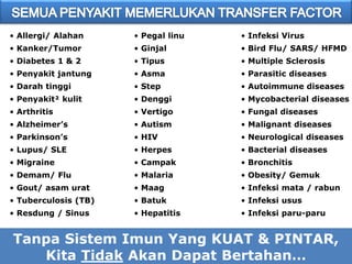 Tanpa Sistem Imun Yang KUAT & PINTAR,
Kita Tidak Akan Dapat Bertahan…
• Allergi/ Alahan
• Kanker/Tumor
• Diabetes 1 & 2
• Penyakit jantung
• Darah tinggi
• Penyakit² kulit
• Arthritis
• Alzheimer’s
• Parkinson’s
• Lupus/ SLE
• Migraine
• Demam/ Flu
• Gout/ asam urat
• Tuberculosis (TB)
• Resdung / Sinus
• Pegal linu
• Ginjal
• Tipus
• Asma
• Step
• Denggi
• Vertigo
• Autism
• HIV
• Herpes
• Campak
• Malaria
• Maag
• Batuk
• Hepatitis
• Infeksi Virus
• Bird Flu/ SARS/ HFMD
• Multiple Sclerosis
• Parasitic diseases
• Autoimmune diseases
• Mycobacterial diseases
• Fungal diseases
• Malignant diseases
• Neurological diseases
• Bacterial diseases
• Bronchitis
• Obesity/ Gemuk
• Infeksi mata / rabun
• Infeksi usus
• Infeksi paru-paru
 