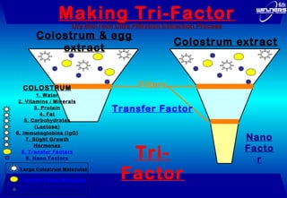 Transfer Factor Particles Transfer Factor Science of 4LIFE | PPT