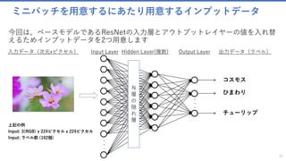 ミニバッチを用意するにあたり用意するインプットデータ
今回は、ベースモデルであるResNetの入力層とアウトプットレイヤーの値を入れ替
えるためインプットデータを2つ用意します
31
入力データ（次元xピクセル） Input Layer Hidden Layer(複数) Output Layer
チューリップ
コスモス
ひまわり
N
層
の
隠
れ
層
出力データ（ラベル）
 