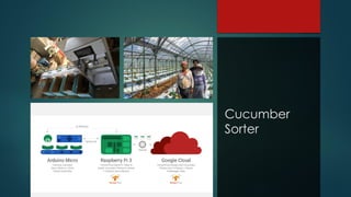 Cucumber
Sorter
 