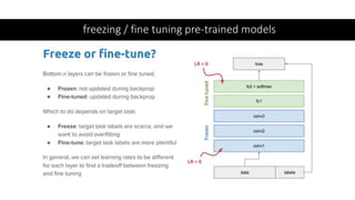 freezing / fine tuning pre-trained models
 