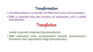Transfer of dna between bacterial cell | PPTX