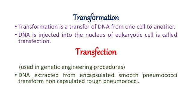 transformation transfection transduction Transfer of dna between bacterial cell transformation transfection transduction Transfer of dna between bacterial cell