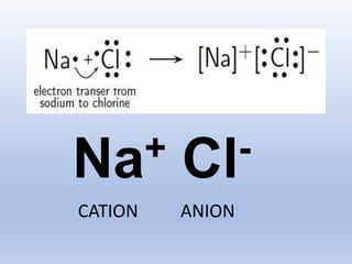 Na+ Cl-
CATION ANION
 