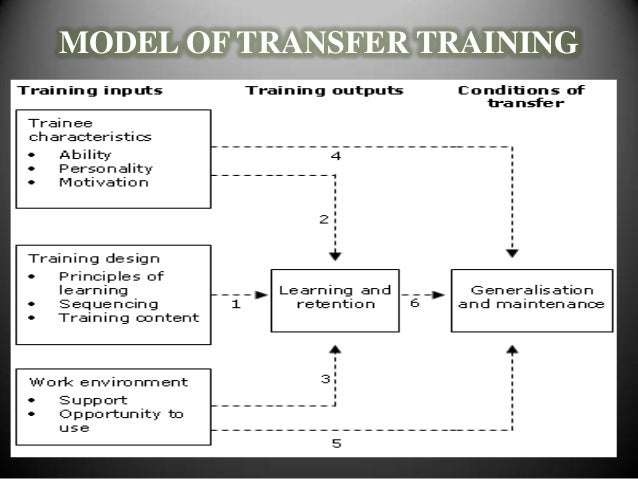Transfer Learning Model Training What is transfer of training examples, What Is Transfer Learning? A ...
