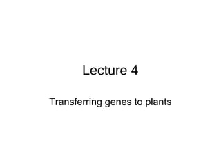 Lecture 4
Transferring genes to plants
 