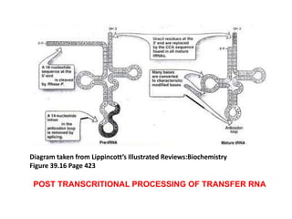 Transfer rna final | PPTX