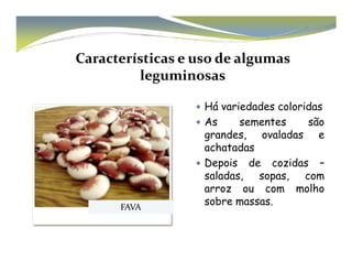 Características e uso de algumas 
leguminosas 
 Há variedades coloridas 
 As sementes são 
ggrraannddeess, oovvaallaaddaass ee 
achatadas 
 Depois de cozidas – 
saladas, sopas, com 
arroz ou com molho 
sobre massas. FAVA 
 