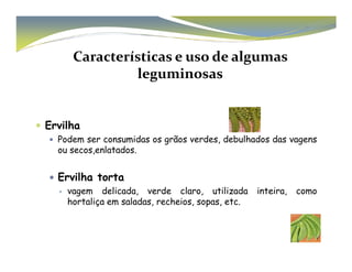 Características e uso de algumas 
leguminosas 
 Ervilha 
 Podem ser consumidas os grãos verdes, ddeebbuullhhaaddooss ddaass vvaaggeennss 
ou secos,enlatados. 
 Ervilha torta 
 vagem delicada, verde claro, utilizada inteira, como 
hortaliça em saladas, recheios, sopas, etc. 
 