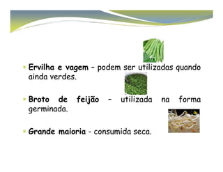 Ervilha e vagem – podem ser utilizadas quando 
ainda verdes. 
 Broto de feijão – utilizada na forma 
germinada. 
 Grande maioria - consumida seca. 
 