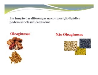 Em função das diferenças na composição lipídica 
podem ser classificadas em: 
Oleaginosas Não Oleaginosas 
 