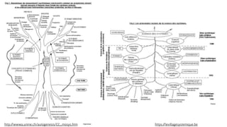 http://wwwa.unine.ch/autogenesis/CC_mosys.htm https://levillagesystemique.be
 