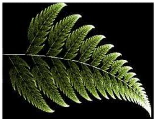 Transforamciones.pptx