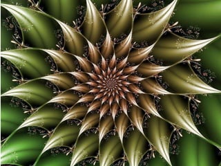 Transforamciones.pptx