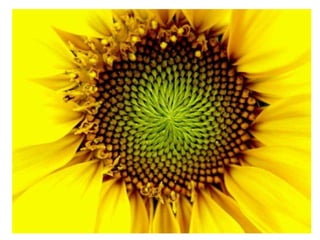 Transforamciones.pptx