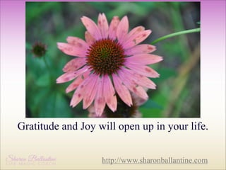 Gratitude and Joy will open up in your life.
http://www.sharonballantine.com

 