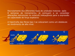 Recrutamento dos diferentes tipos de unidades motoras: após  8 semanas de treinamento, já começam a se consolidar alterações estruturais no músculo indesejáveis para a expressão da capacidade de força explosiva.  A hipertrofia das fibras tipo I se colocariam como um obstáculo  ao rendimento de alto nível. 