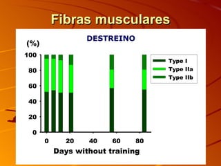 Fibras musculares DESTREINO 