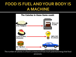 The number of calories in a food is a measure of how much potential energy that food
                                       possesses.
 