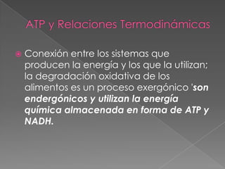    Conexión entre los sistemas que
    producen la energía y los que la utilizan;
    la degradación oxidativa de los
    alimentos es un proceso exergónico 'son
    endergónicos y utilizan la energía
    química almacenada en forma de ATP y
    NADH.
 