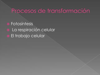  Fotosíntesis
 La respiración celular
 El trabajo celular
 