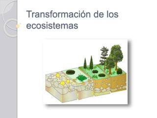 Transformación de los
ecosistemas
 