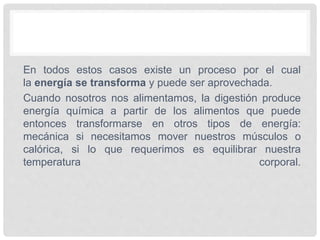 En todos estos casos existe un proceso por el cual
la energía se transforma y puede ser aprovechada.
Cuando nosotros nos alimentamos, la digestión produce
energía química a partir de los alimentos que puede
entonces transformarse en otros tipos de energía:
mecánica si necesitamos mover nuestros músculos o
calórica, si lo que requerimos es equilibrar nuestra
temperatura corporal.
 