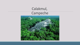 Calakmul,
Campeche
 