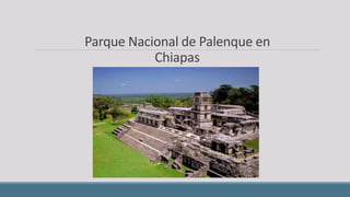 Parque Nacional de Palenque en
Chiapas
 