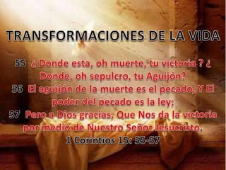 Transformaciones de jesús
