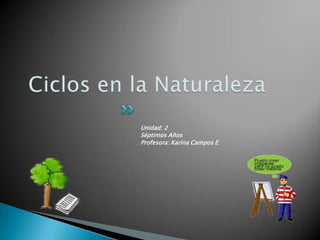 Ciclos en la Naturaleza Unidad: 2 Séptimos Años Profesora: Karina Campos E: 