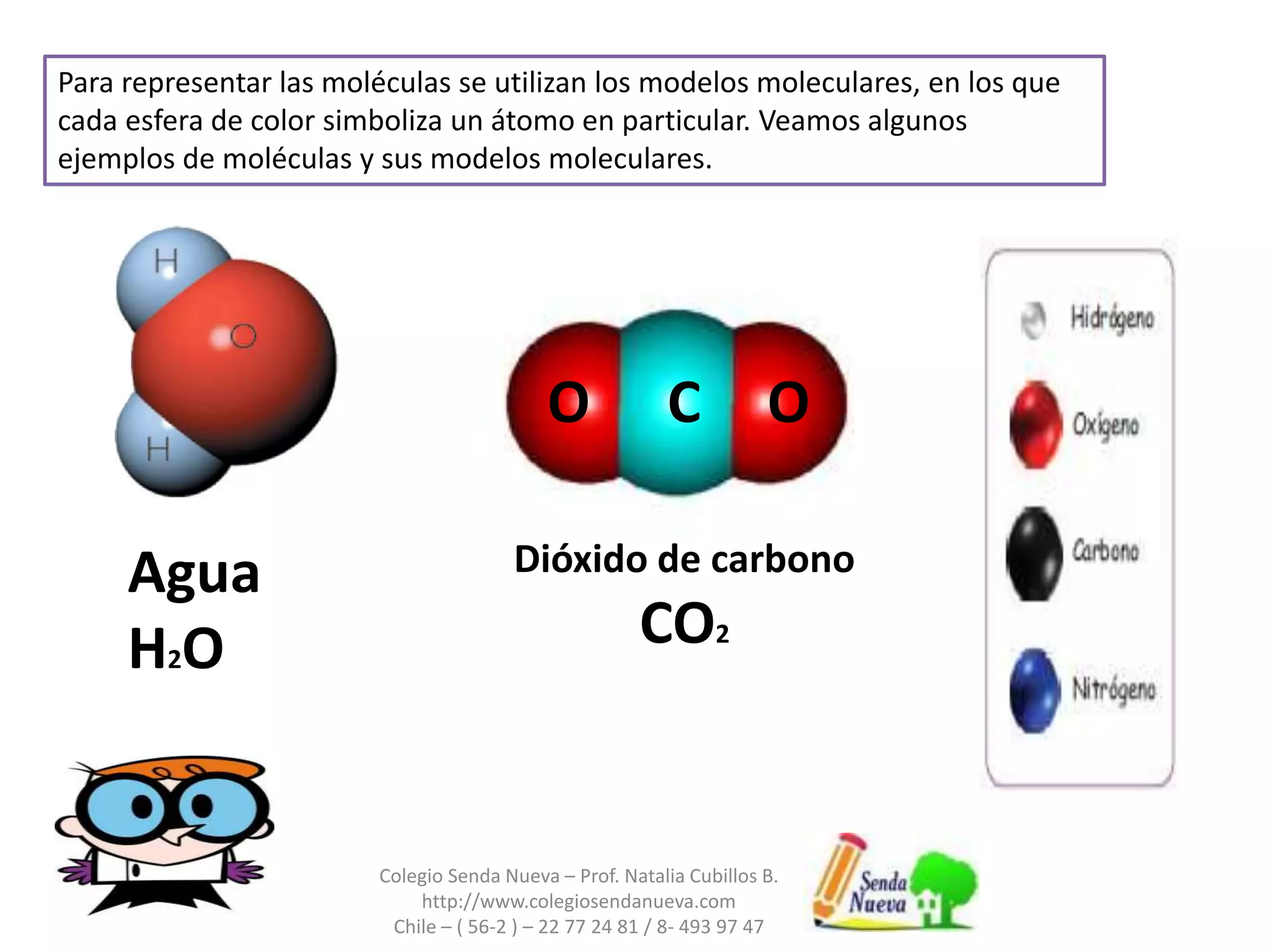 Colegio Senda Nueva – Prof. Natalia Cubillos B.
http://www.colegiosendanueva.com
Chile – ( 56-2 ) – 22 77 24 81 / 8- 493 97 47
Para representar las moléculas se utilizan los modelos moleculares, en los que
cada esfera de color simboliza un átomo en particular. Veamos algunos
ejemplos de moléculas y sus modelos moleculares.
CO O
Agua
H2O
Dióxido de carbono
CO2
 